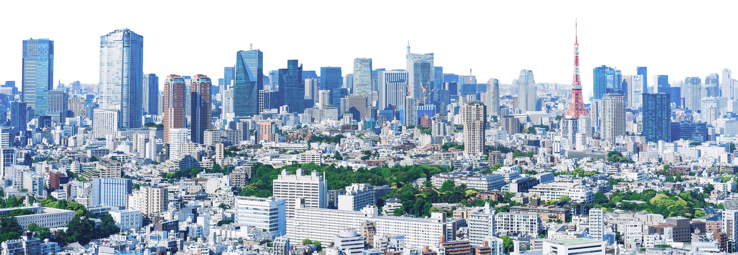 東京パノラマ
